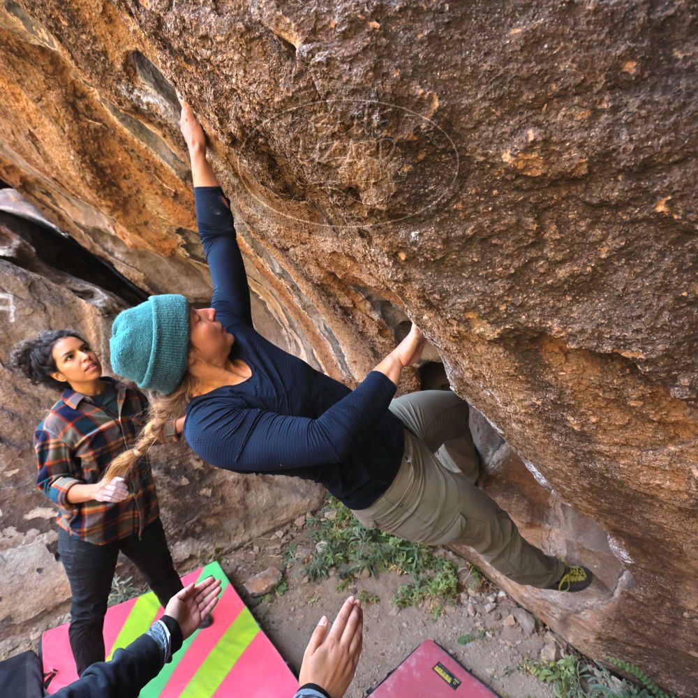 

Filename: SRM_20221112_1037370.jpg
Aperture: f/5.6
Shutter Speed: 1/500
Body: Canon EOS R6
Lens: Canon EF 16-35mm f/2.8 L