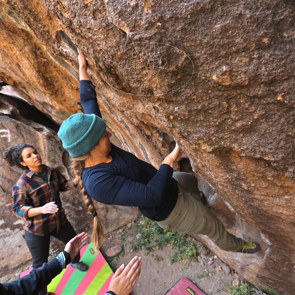 

Filename: SRM_20221112_1037371.jpg
Aperture: f/5.6
Shutter Speed: 1/500
Body: Canon EOS R6
Lens: Canon EF 16-35mm f/2.8 L