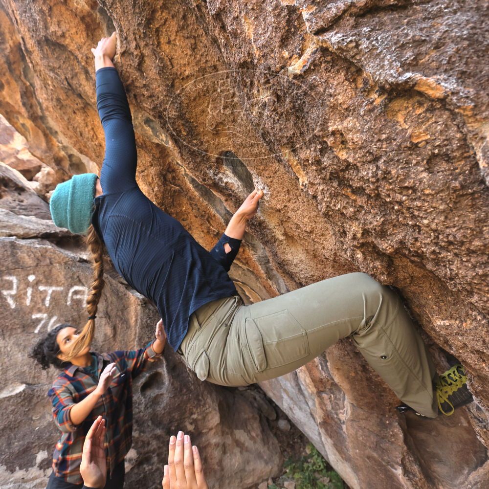 

Filename: SRM_20221112_1037430.jpg
Aperture: f/5.6
Shutter Speed: 1/500
Body: Canon EOS R6
Lens: Canon EF 16-35mm f/2.8 L