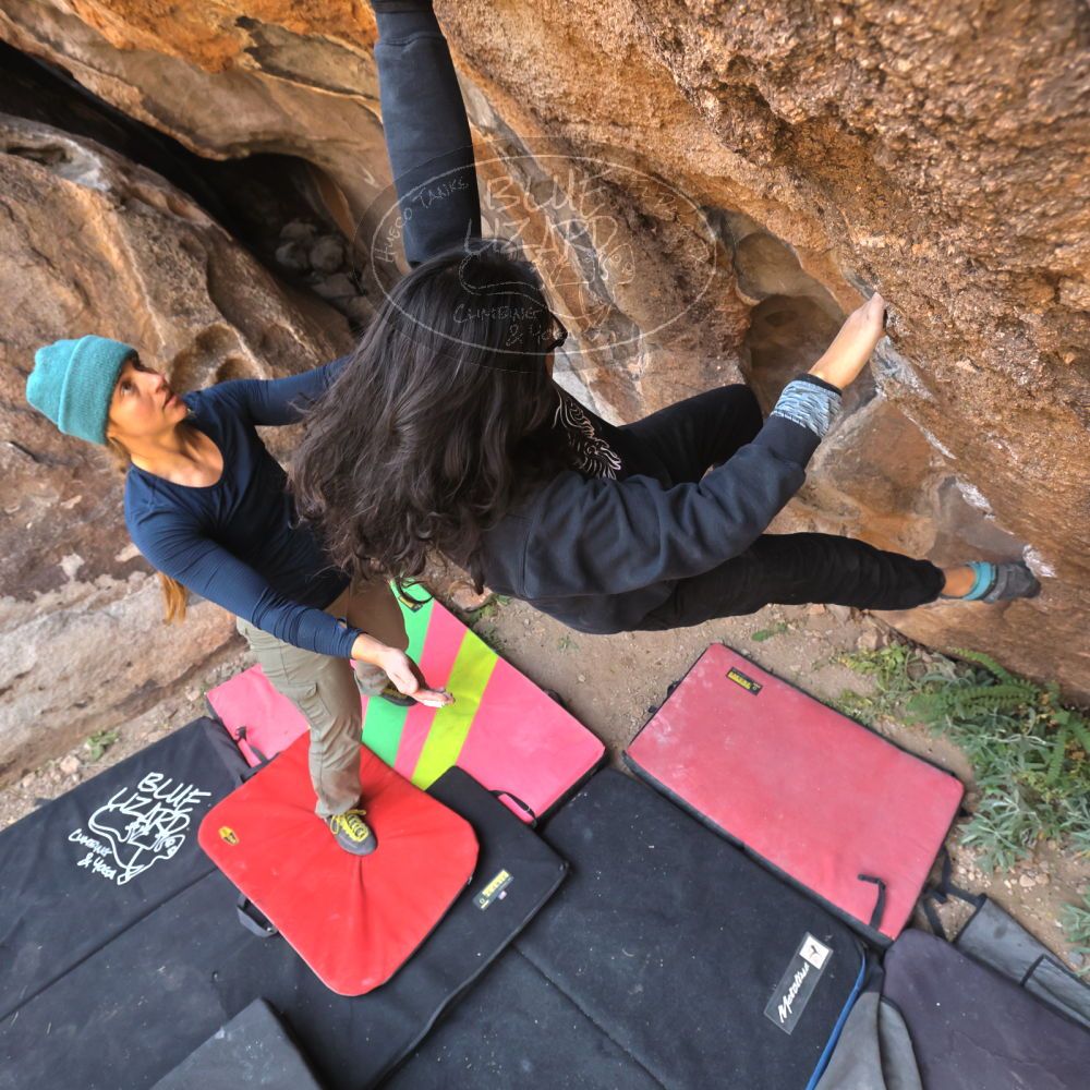 

Filename: SRM_20221112_1038570.jpg
Aperture: f/5.6
Shutter Speed: 1/500
Body: Canon EOS R6
Lens: Canon EF 16-35mm f/2.8 L