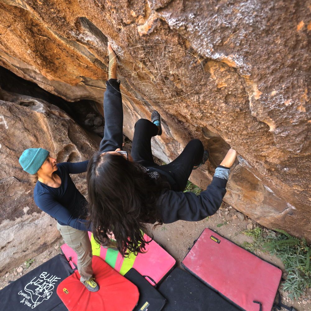 

Filename: SRM_20221112_1038580.jpg
Aperture: f/5.6
Shutter Speed: 1/500
Body: Canon EOS R6
Lens: Canon EF 16-35mm f/2.8 L