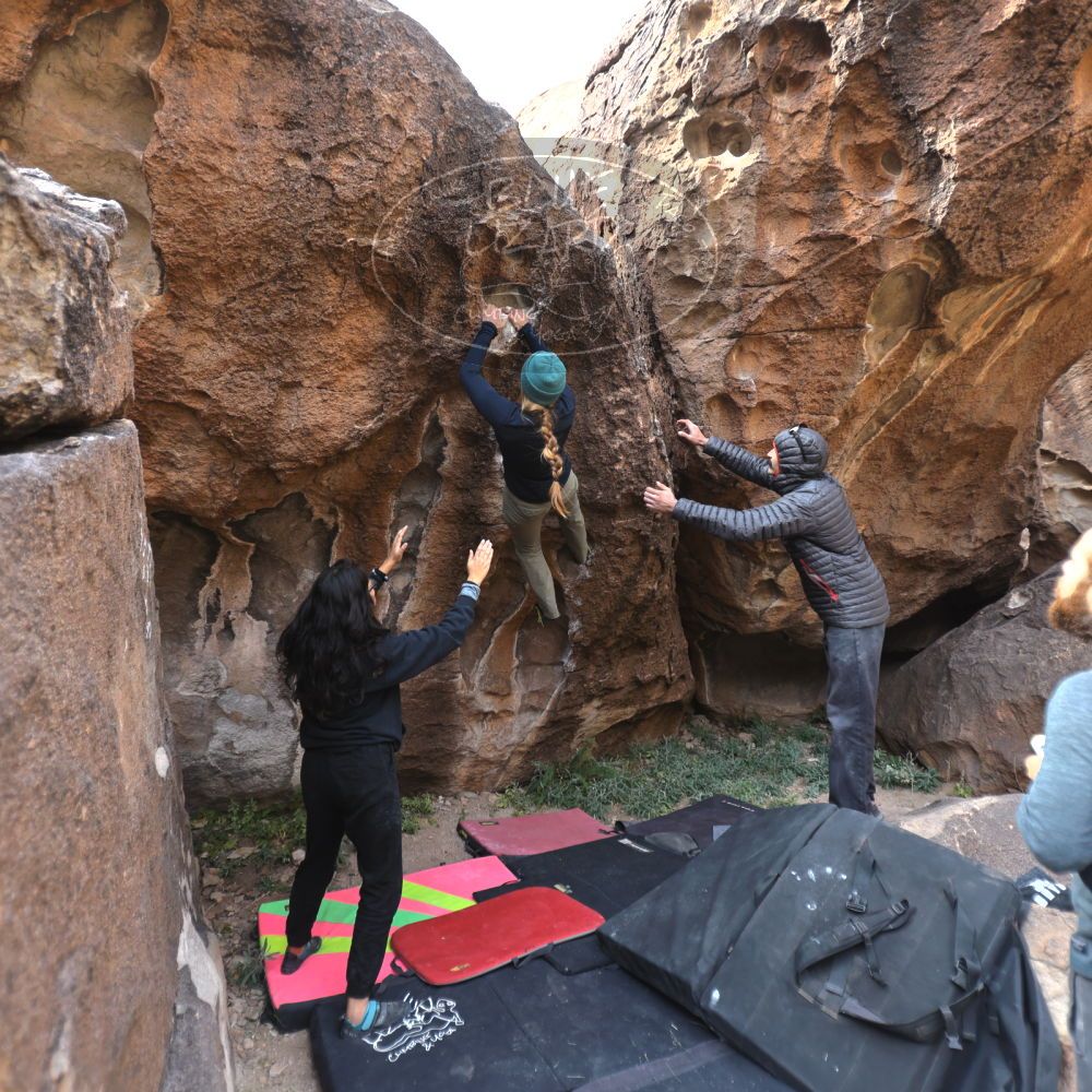 

Filename: SRM_20221112_1047510.jpg
Aperture: f/2.8
Shutter Speed: 1/500
Body: Canon EOS R6
Lens: Canon EF 16-35mm f/2.8 L