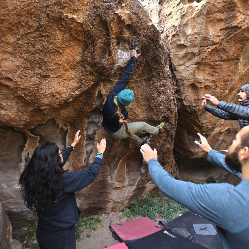 

Filename: SRM_20221112_1051180.jpg
Aperture: f/2.8
Shutter Speed: 1/500
Body: Canon EOS R6
Lens: Canon EF 16-35mm f/2.8 L