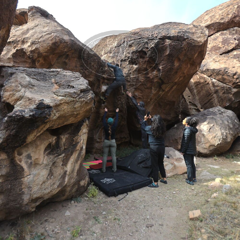 

Filename: SRM_20221112_1053320.jpg
Aperture: f/2.8
Shutter Speed: 1/500
Body: Canon EOS R6
Lens: Canon EF 16-35mm f/2.8 L