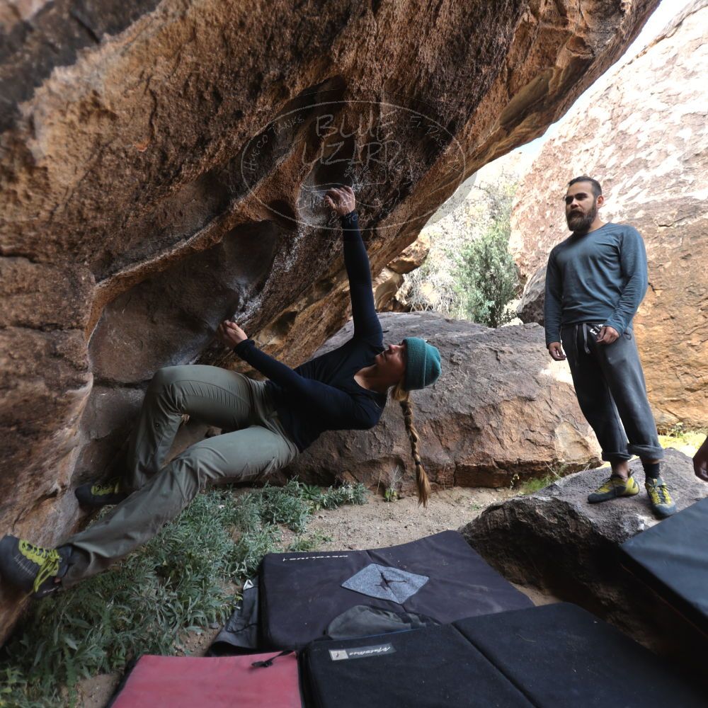 Filename: SRM_20221112_1057330.jpg
Aperture: f/2.8
Shutter Speed: 1/500
Body: Canon EOS R6
Lens: Canon EF 16-35mm f/2.8 L