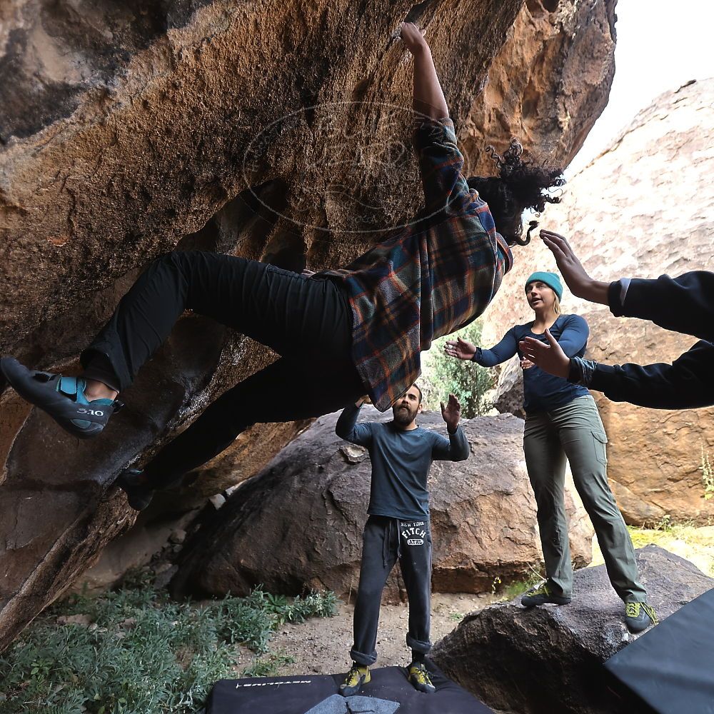 

Filename: SRM_20221112_1058522.jpg
Aperture: f/2.8
Shutter Speed: 1/500
Body: Canon EOS R6
Lens: Canon EF 16-35mm f/2.8 L