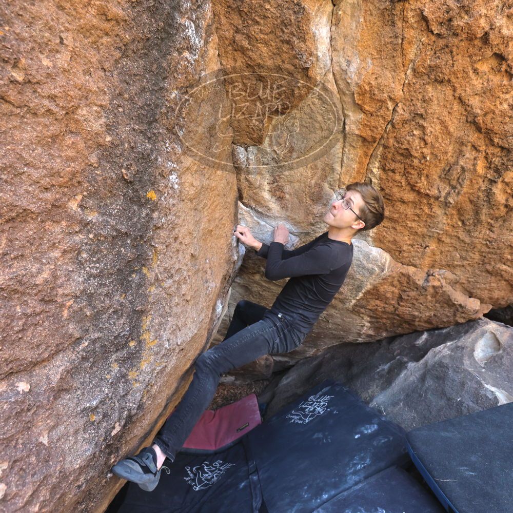 Filename: SRM_20221112_1119520.jpg
Aperture: f/5.6
Shutter Speed: 1/500
Body: Canon EOS R6
Lens: Canon EF 16-35mm f/2.8 L