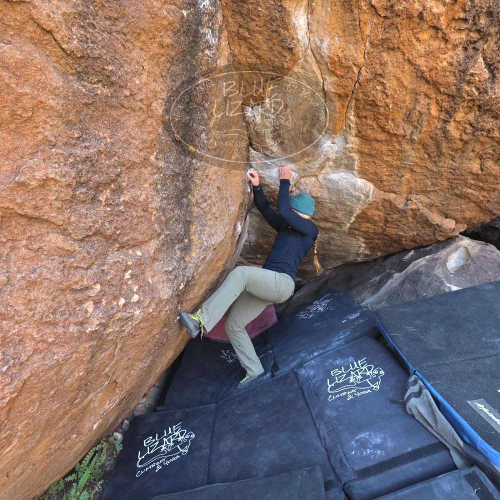 

Filename: SRM_20221112_1121450.jpg
Aperture: f/5.6
Shutter Speed: 1/500
Body: Canon EOS R6
Lens: Canon EF 16-35mm f/2.8 L