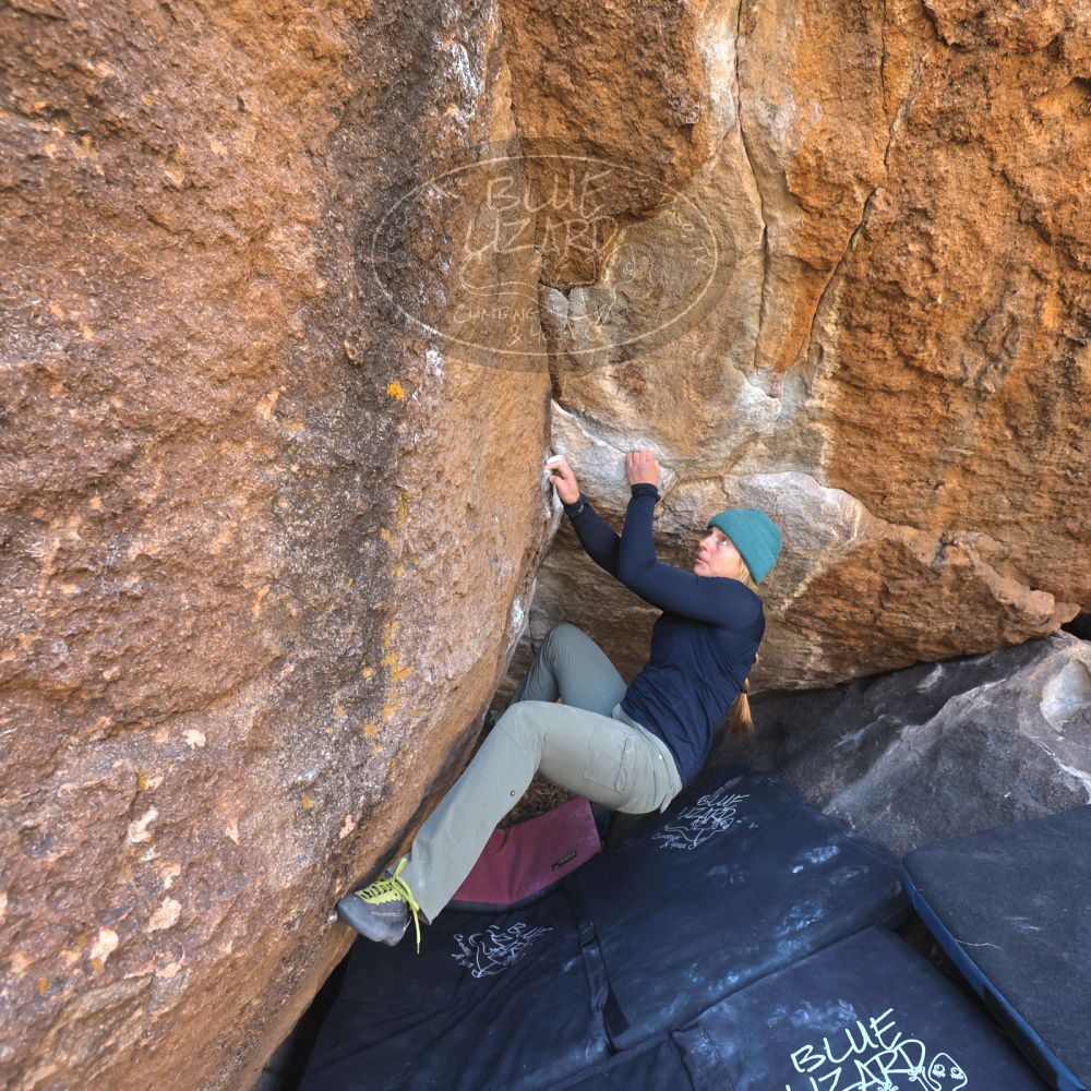 

Filename: SRM_20221112_1121460.jpg
Aperture: f/5.6
Shutter Speed: 1/500
Body: Canon EOS R6
Lens: Canon EF 16-35mm f/2.8 L