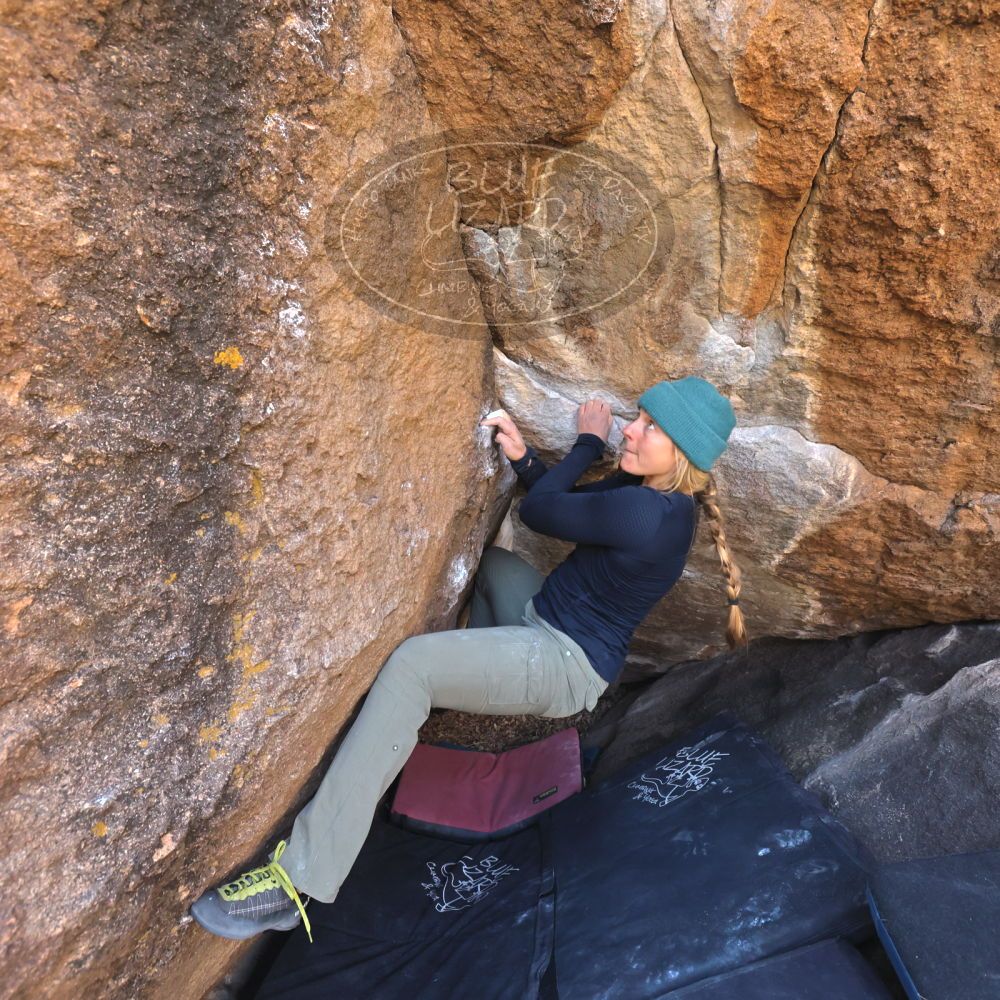 

Filename: SRM_20221112_1121470.jpg
Aperture: f/5.6
Shutter Speed: 1/500
Body: Canon EOS R6
Lens: Canon EF 16-35mm f/2.8 L