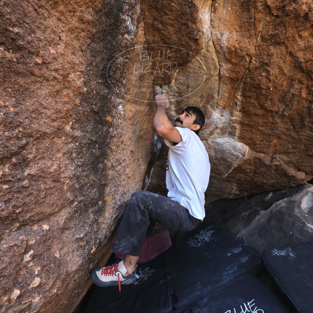 

Filename: SRM_20221112_1123440.jpg
Aperture: f/5.6
Shutter Speed: 1/500
Body: Canon EOS R6
Lens: Canon EF 16-35mm f/2.8 L