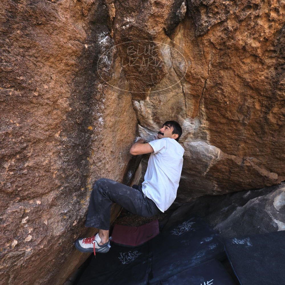 

Filename: SRM_20221112_1123560.jpg
Aperture: f/5.6
Shutter Speed: 1/500
Body: Canon EOS R6
Lens: Canon EF 16-35mm f/2.8 L