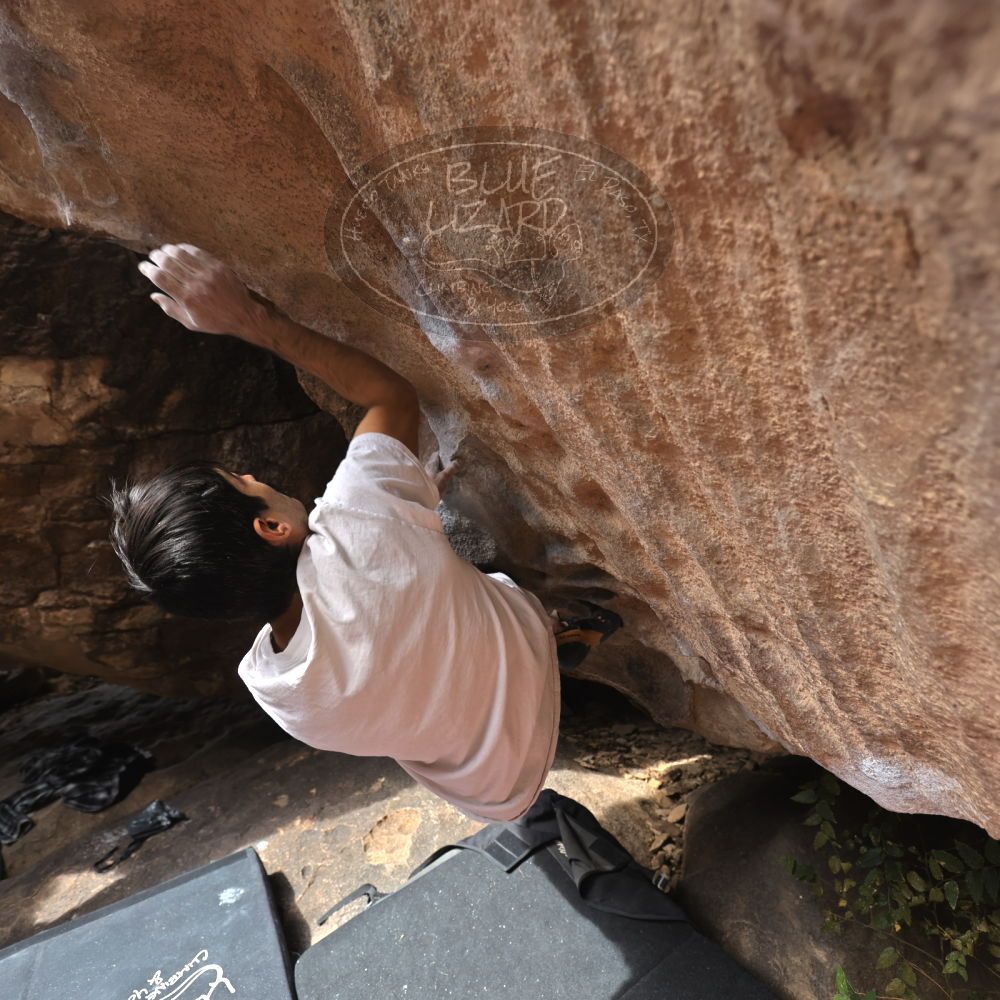 

Filename: SRM_20221112_1216020.jpg
Aperture: f/4.0
Shutter Speed: 1/500
Body: Canon EOS R6
Lens: Canon EF 16-35mm f/2.8 L