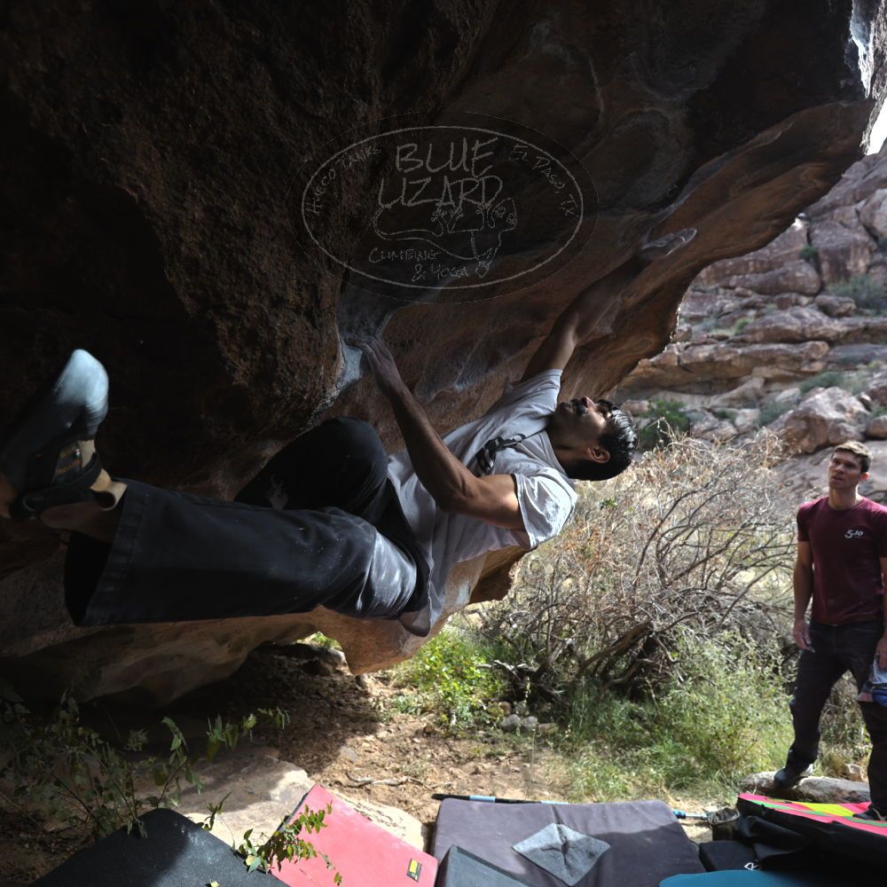 Filename: SRM_20221112_1219210.jpg
Aperture: f/4.0
Shutter Speed: 1/500
Body: Canon EOS R6
Lens: Canon EF 16-35mm f/2.8 L