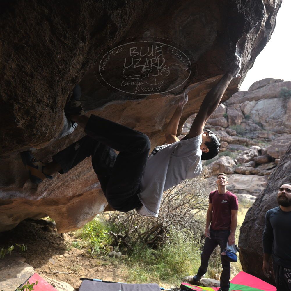 Filename: SRM_20221112_1219250.jpg
Aperture: f/4.0
Shutter Speed: 1/500
Body: Canon EOS R6
Lens: Canon EF 16-35mm f/2.8 L