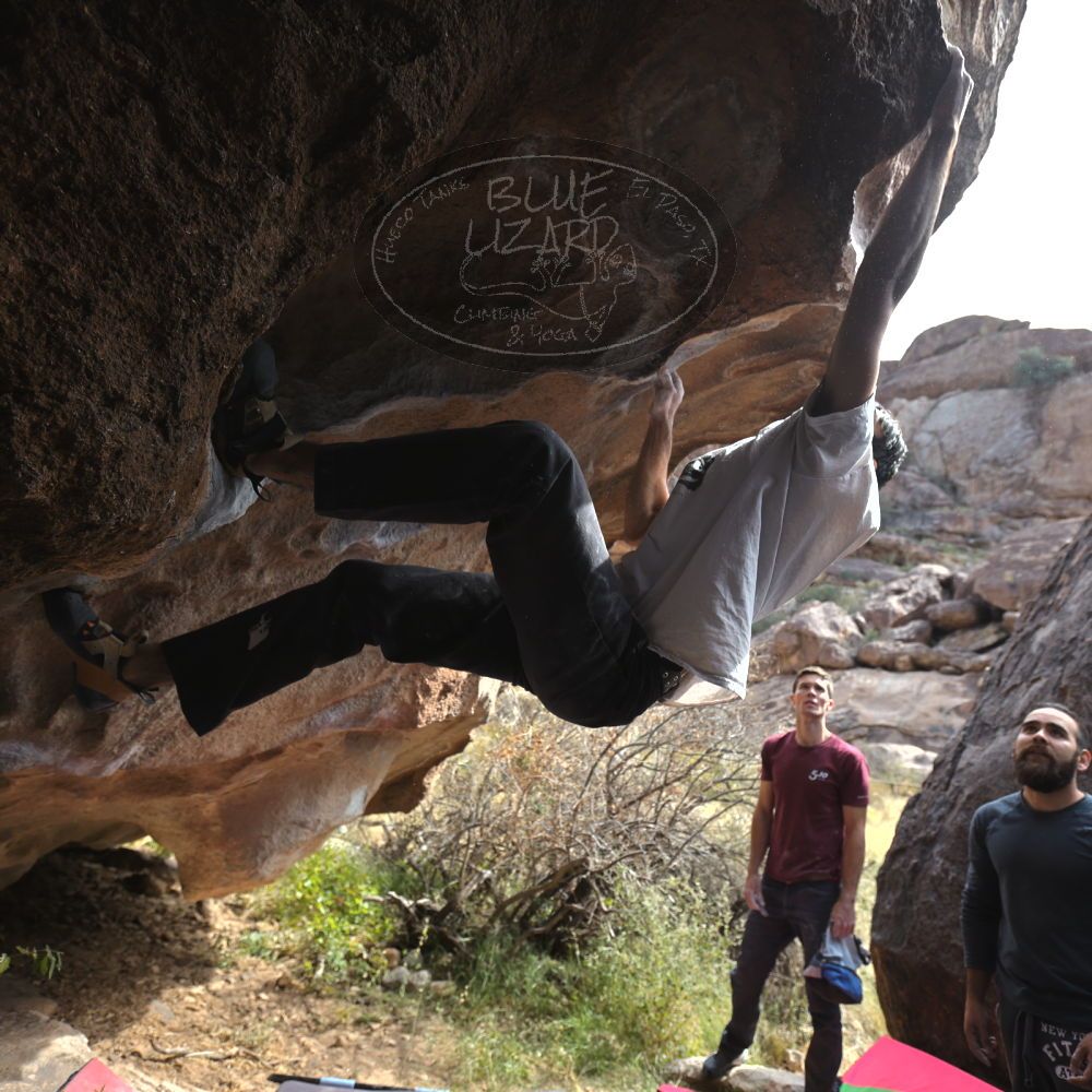 Filename: SRM_20221112_1219260.jpg
Aperture: f/4.0
Shutter Speed: 1/500
Body: Canon EOS R6
Lens: Canon EF 16-35mm f/2.8 L