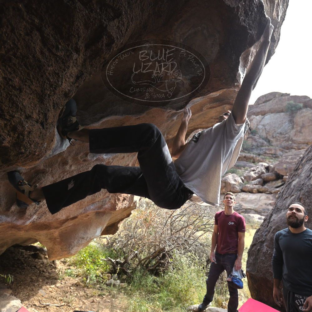 Filename: SRM_20221112_1219270.jpg
Aperture: f/4.0
Shutter Speed: 1/500
Body: Canon EOS R6
Lens: Canon EF 16-35mm f/2.8 L