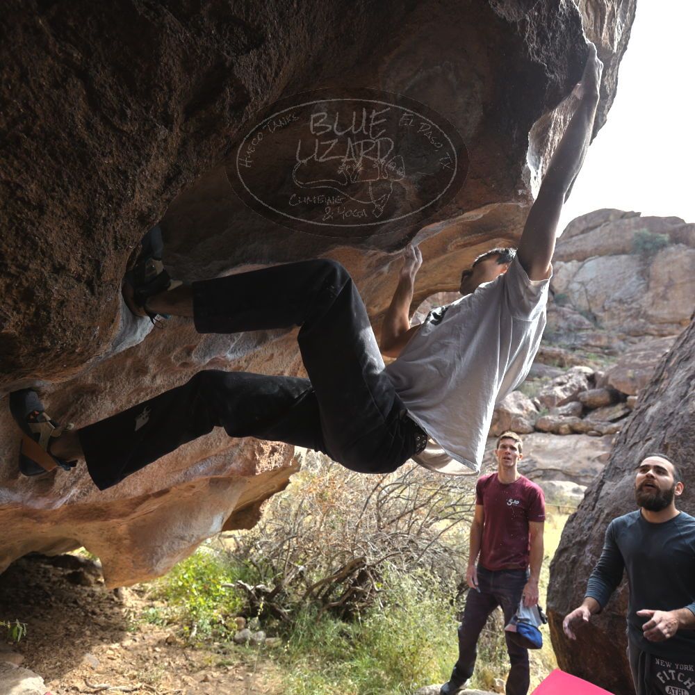 Filename: SRM_20221112_1219271.jpg
Aperture: f/4.0
Shutter Speed: 1/500
Body: Canon EOS R6
Lens: Canon EF 16-35mm f/2.8 L