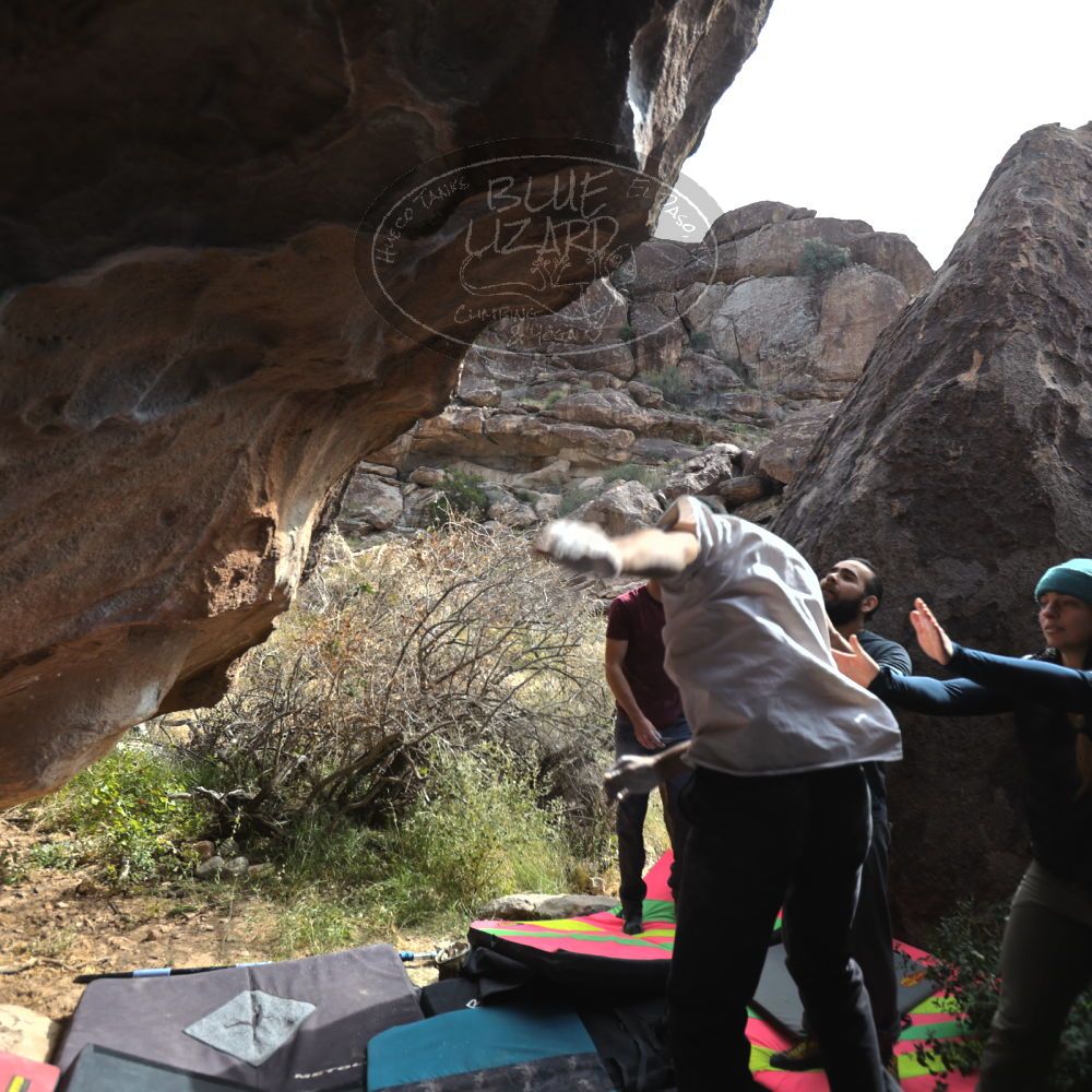 Filename: SRM_20221112_1219291.jpg
Aperture: f/4.0
Shutter Speed: 1/500
Body: Canon EOS R6
Lens: Canon EF 16-35mm f/2.8 L