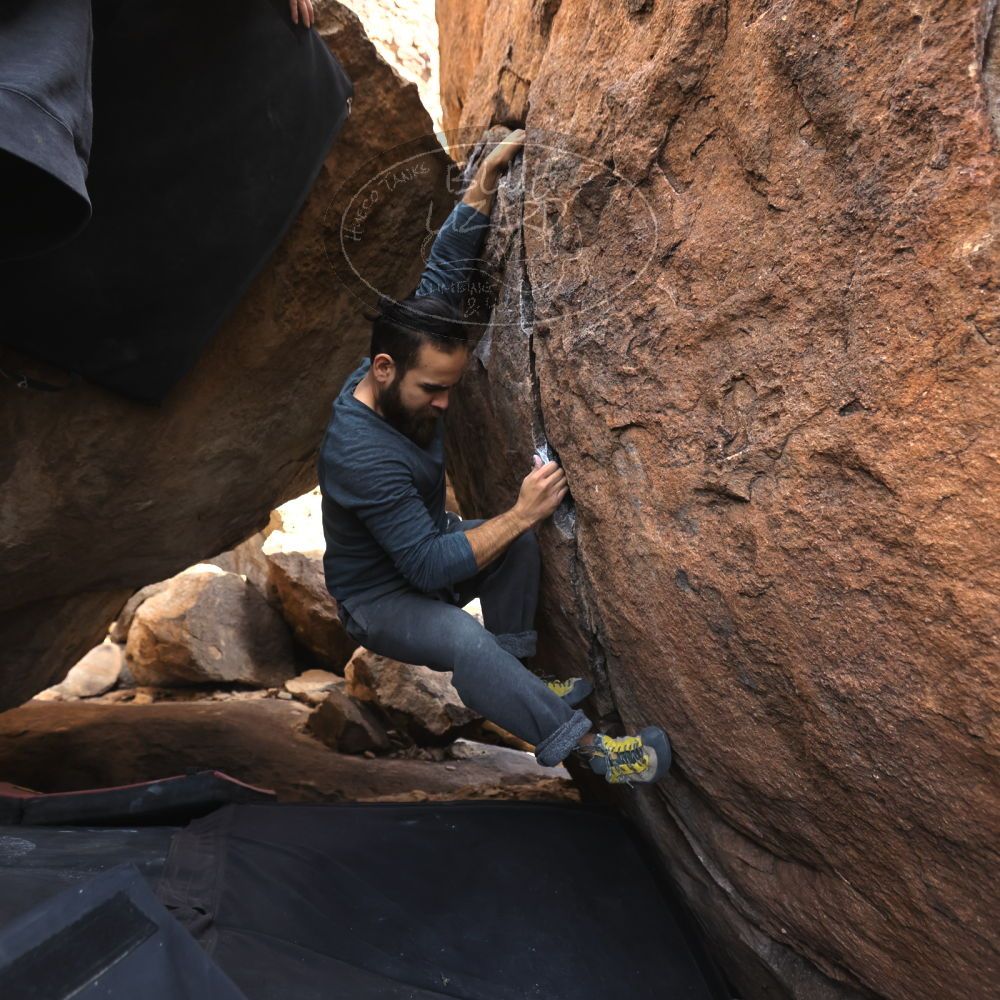 Filename: SRM_20221112_1232430.jpg
Aperture: f/4.0
Shutter Speed: 1/500
Body: Canon EOS R6
Lens: Canon EF 16-35mm f/2.8 L