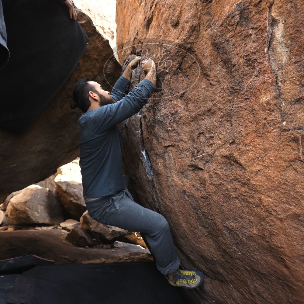 Filename: SRM_20221112_1232480.jpg
Aperture: f/4.0
Shutter Speed: 1/500
Body: Canon EOS R6
Lens: Canon EF 16-35mm f/2.8 L