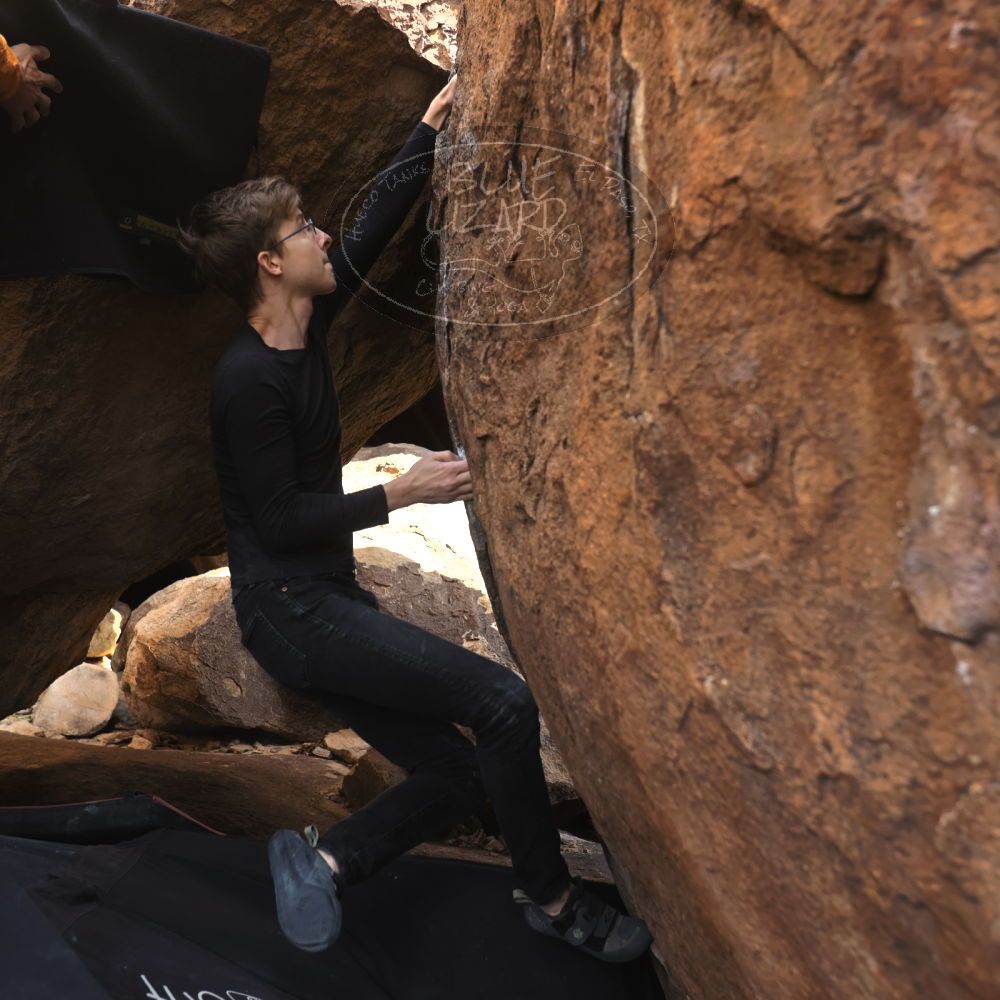 Filename: SRM_20221112_1236540.jpg
Aperture: f/4.0
Shutter Speed: 1/500
Body: Canon EOS R6
Lens: Canon EF 16-35mm f/2.8 L