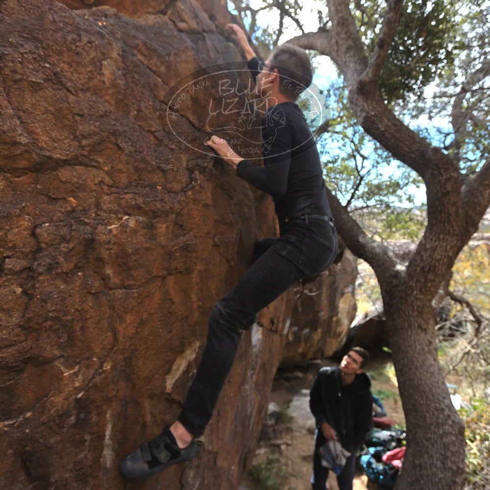 

Filename: SRM_20221112_1255310.jpg
Aperture: f/4.0
Shutter Speed: 1/500
Body: Canon EOS R6
Lens: Canon EF 16-35mm f/2.8 L