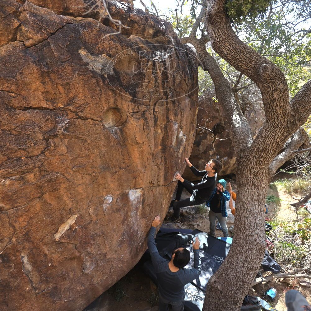 

Filename: SRM_20221112_1308030.jpg
Aperture: f/4.0
Shutter Speed: 1/500
Body: Canon EOS R6
Lens: Canon EF 16-35mm f/2.8 L