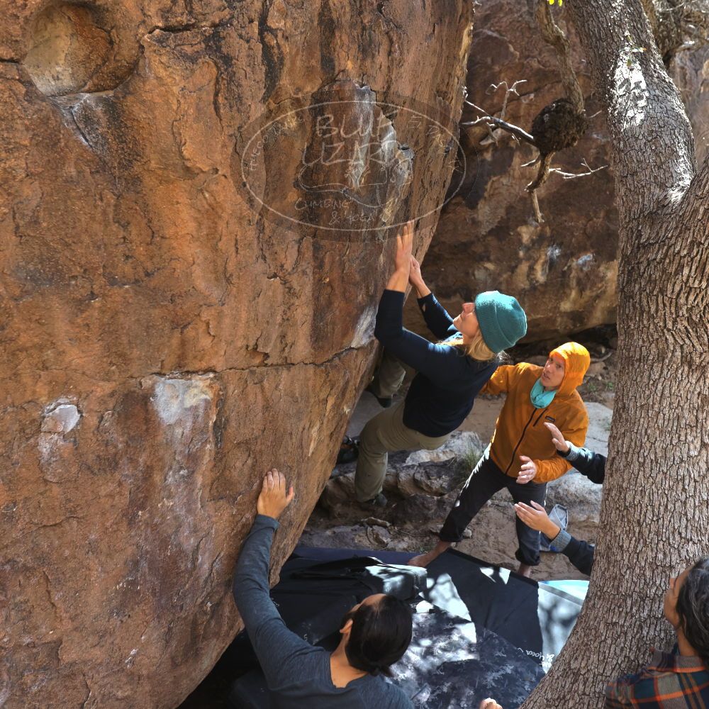 

Filename: SRM_20221112_1310300.jpg
Aperture: f/4.0
Shutter Speed: 1/500
Body: Canon EOS R6
Lens: Canon EF 16-35mm f/2.8 L