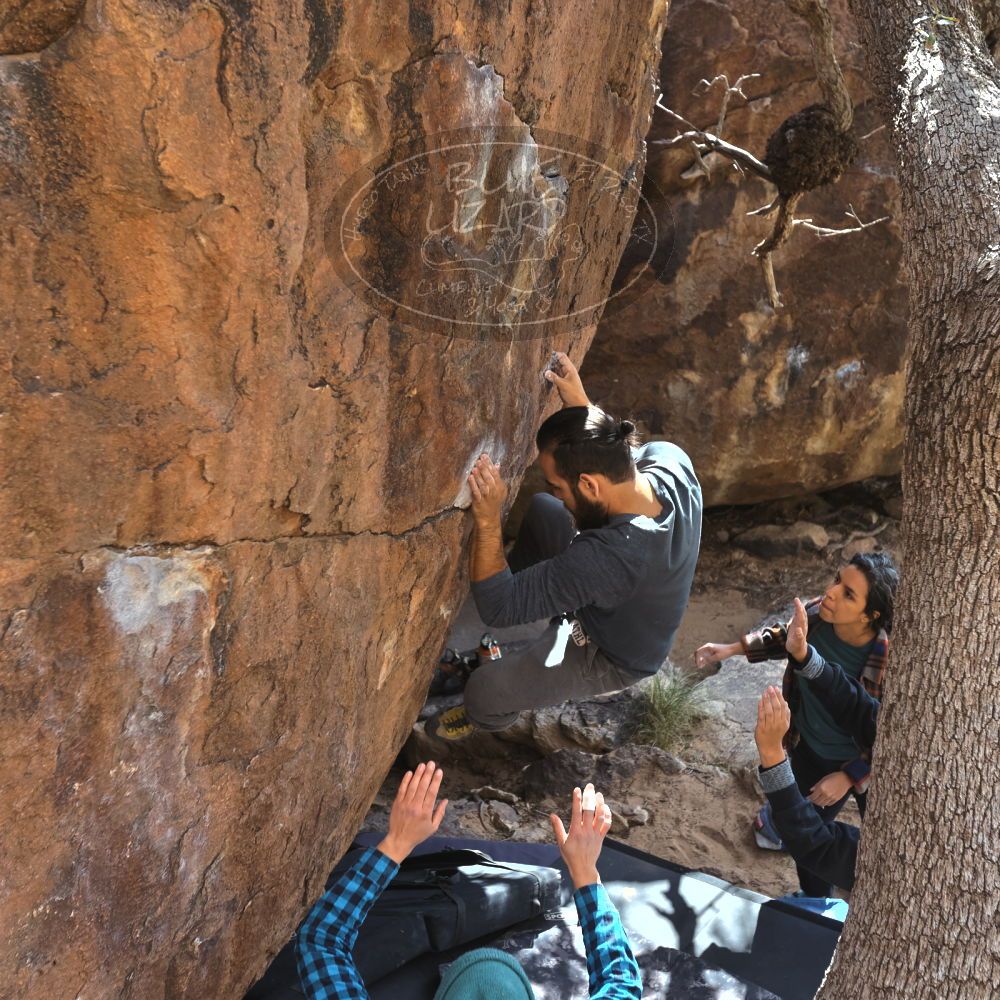 

Filename: SRM_20221112_1316060.jpg
Aperture: f/4.0
Shutter Speed: 1/500
Body: Canon EOS R6
Lens: Canon EF 16-35mm f/2.8 L