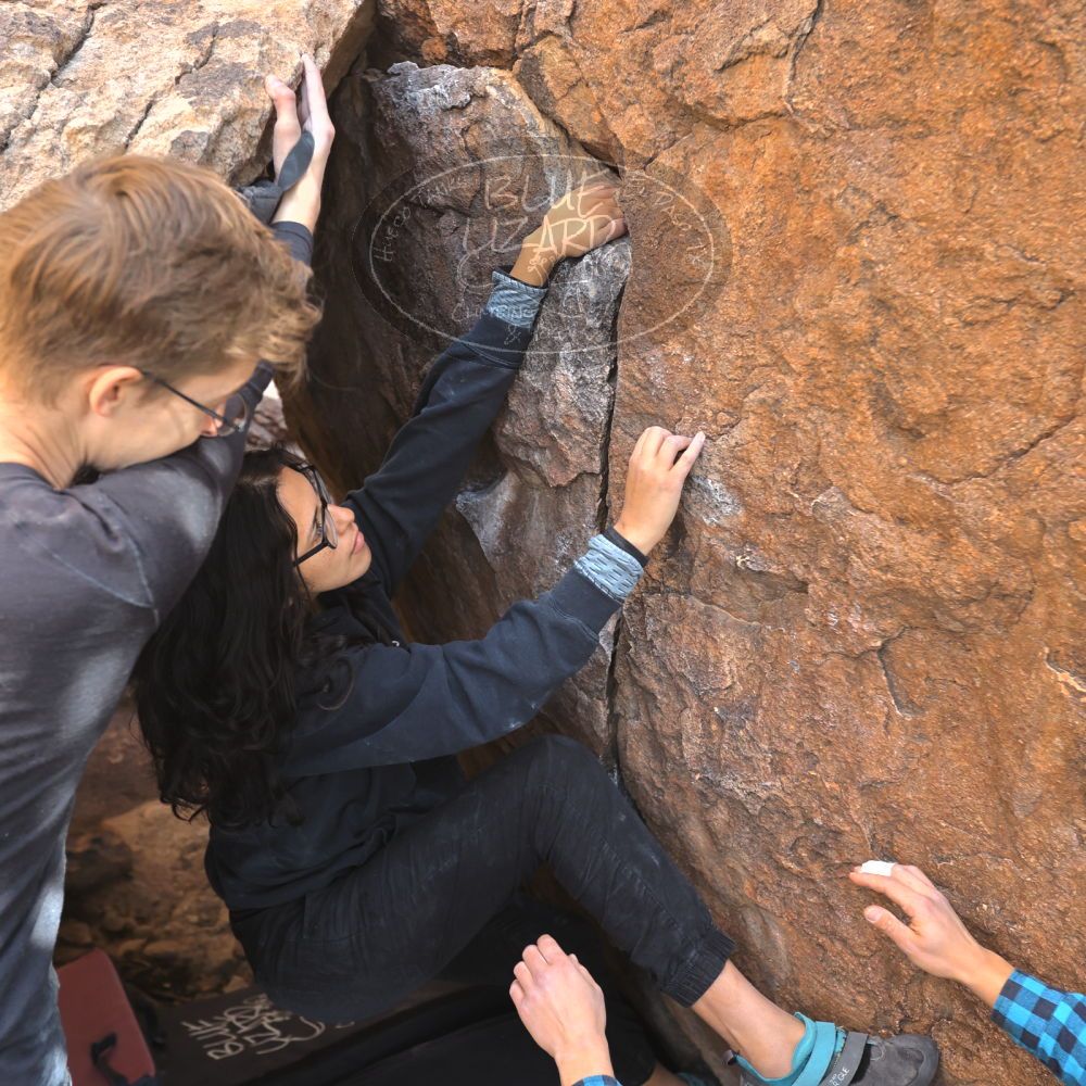 

Filename: SRM_20221112_1319551.jpg
Aperture: f/4.0
Shutter Speed: 1/500
Body: Canon EOS R6
Lens: Canon EF 16-35mm f/2.8 L