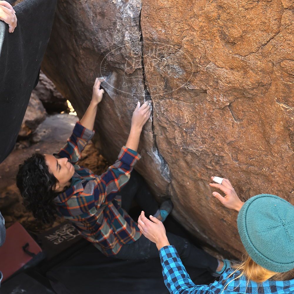 

Filename: SRM_20221112_1320370.jpg
Aperture: f/4.0
Shutter Speed: 1/500
Body: Canon EOS R6
Lens: Canon EF 16-35mm f/2.8 L