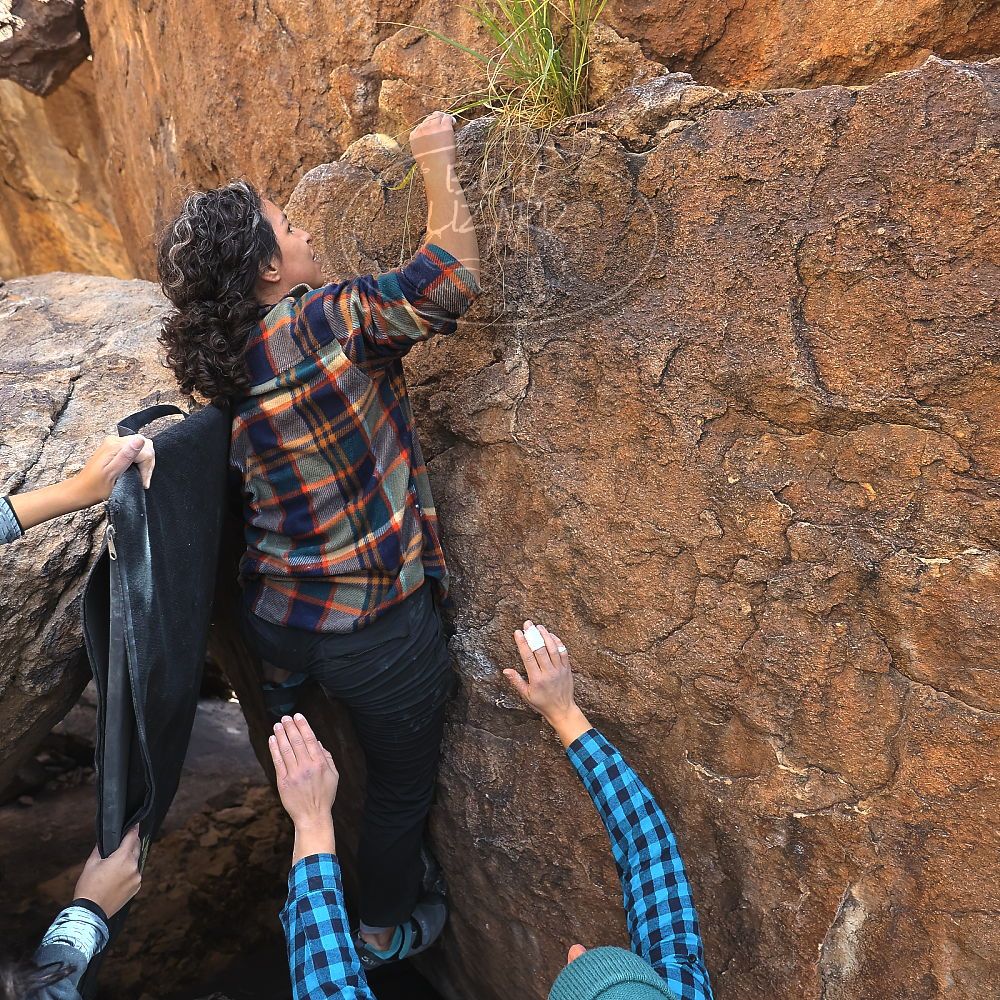 

Filename: SRM_20221112_1321360.jpg
Aperture: f/4.0
Shutter Speed: 1/500
Body: Canon EOS R6
Lens: Canon EF 16-35mm f/2.8 L