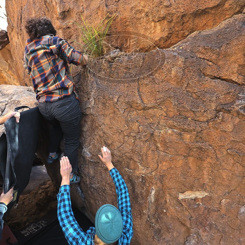 

Filename: SRM_20221112_1321400.jpg
Aperture: f/4.0
Shutter Speed: 1/500
Body: Canon EOS R6
Lens: Canon EF 16-35mm f/2.8 L