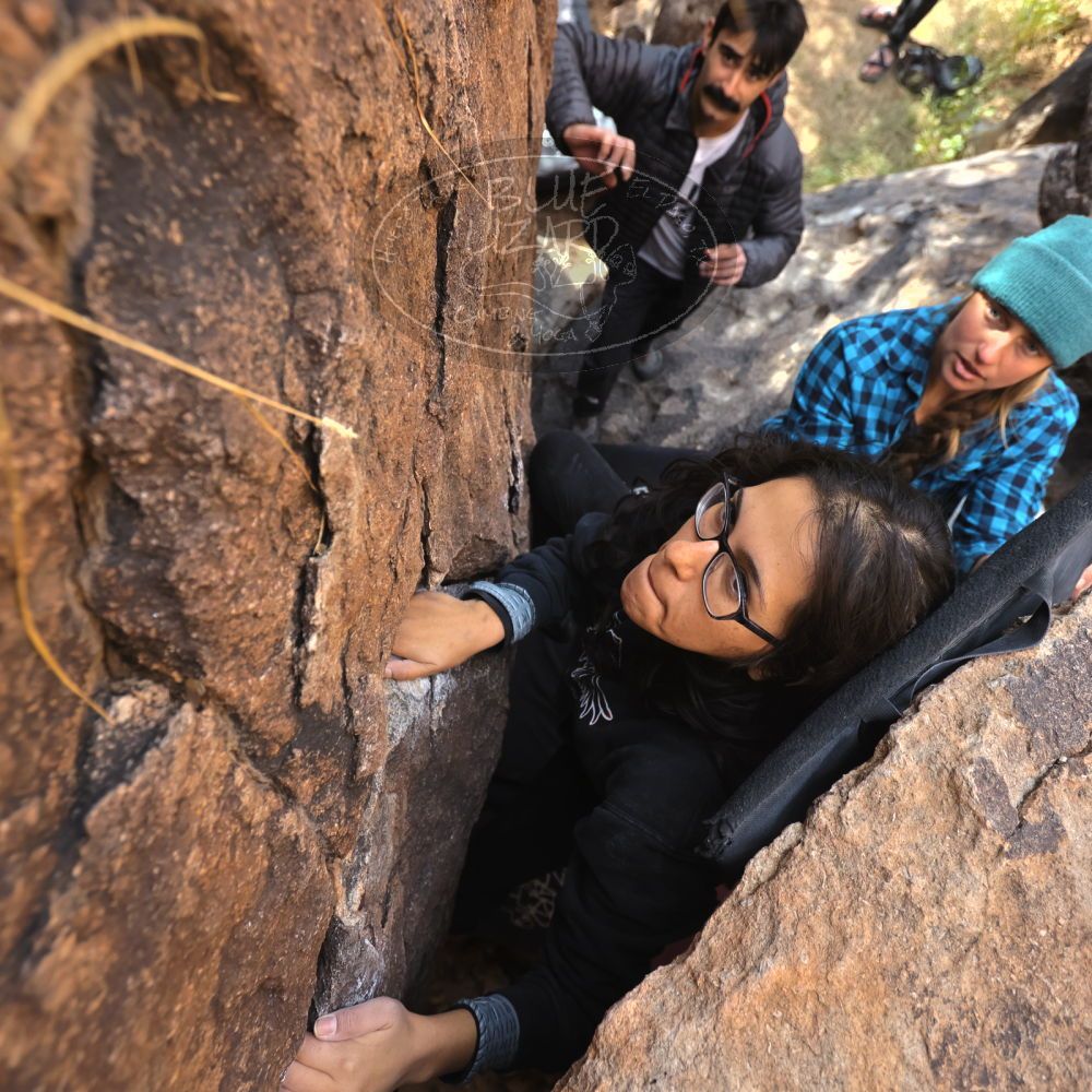 

Filename: SRM_20221112_1323070.jpg
Aperture: f/4.0
Shutter Speed: 1/500
Body: Canon EOS R6
Lens: Canon EF 16-35mm f/2.8 L