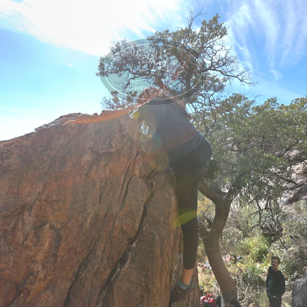 

Filename: SRM_20221112_1323340.jpg
Aperture: f/4.0
Shutter Speed: 1/500
Body: Canon EOS R6
Lens: Canon EF 16-35mm f/2.8 L