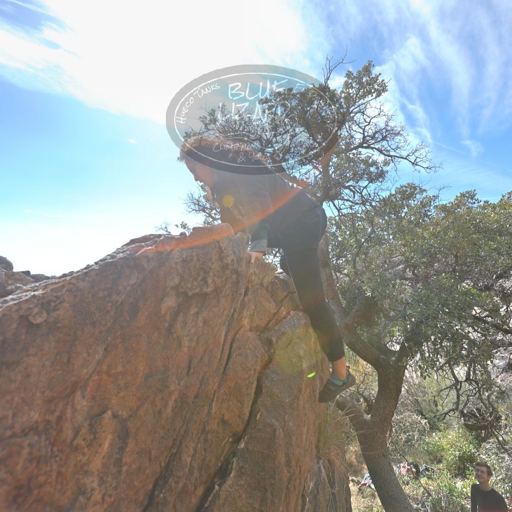 Filename: SRM_20221112_1323370.jpg
Aperture: f/4.0
Shutter Speed: 1/500
Body: Canon EOS R6
Lens: Canon EF 16-35mm f/2.8 L