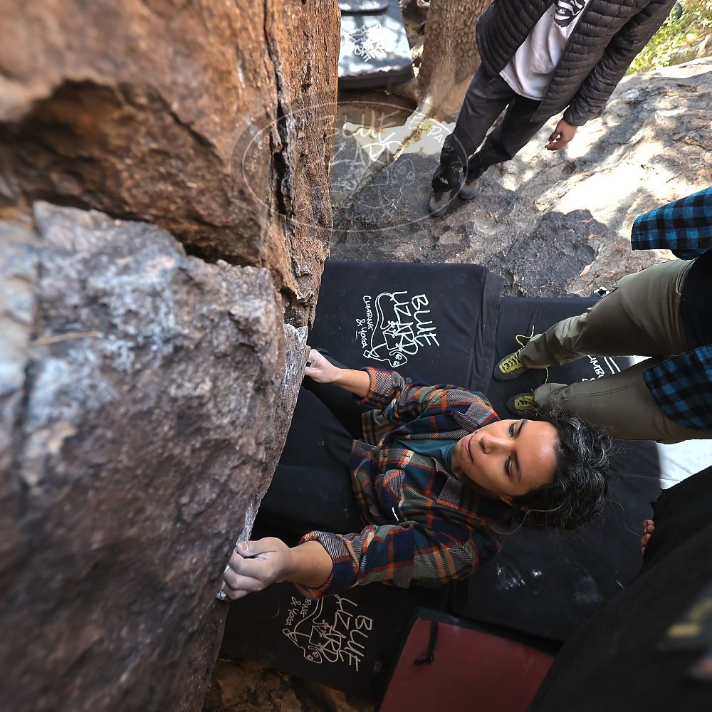 

Filename: SRM_20221112_1324360.jpg
Aperture: f/4.0
Shutter Speed: 1/500
Body: Canon EOS R6
Lens: Canon EF 16-35mm f/2.8 L