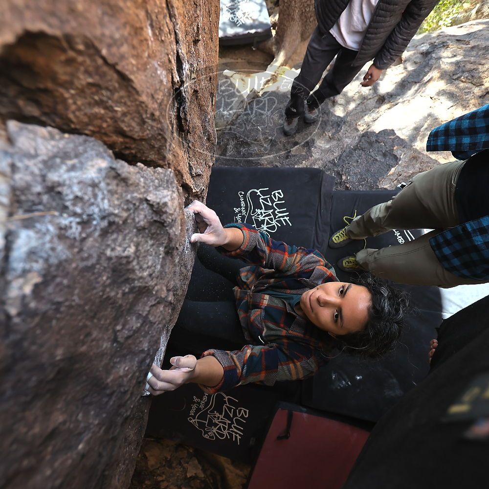 

Filename: SRM_20221112_1324362.jpg
Aperture: f/4.0
Shutter Speed: 1/500
Body: Canon EOS R6
Lens: Canon EF 16-35mm f/2.8 L