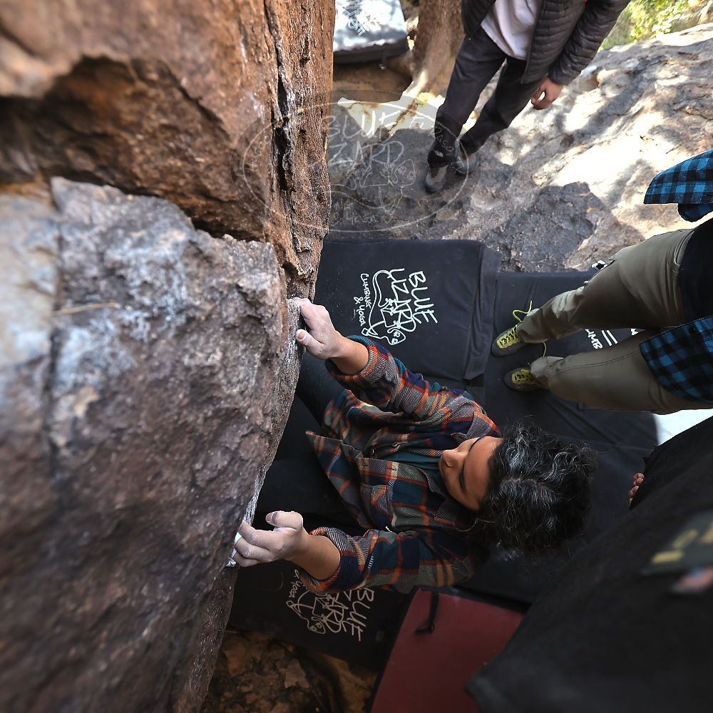 

Filename: SRM_20221112_1324390.jpg
Aperture: f/4.0
Shutter Speed: 1/500
Body: Canon EOS R6
Lens: Canon EF 16-35mm f/2.8 L