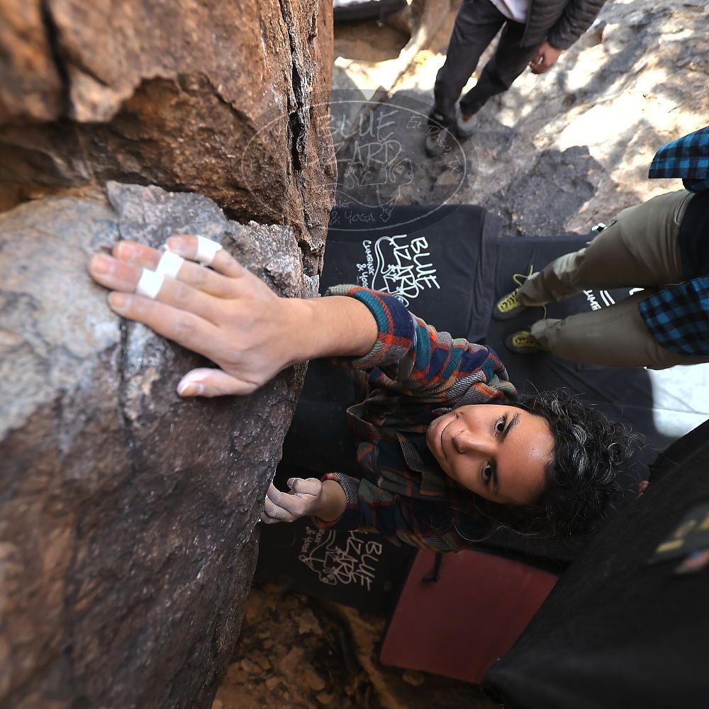 

Filename: SRM_20221112_1324431.jpg
Aperture: f/4.0
Shutter Speed: 1/500
Body: Canon EOS R6
Lens: Canon EF 16-35mm f/2.8 L