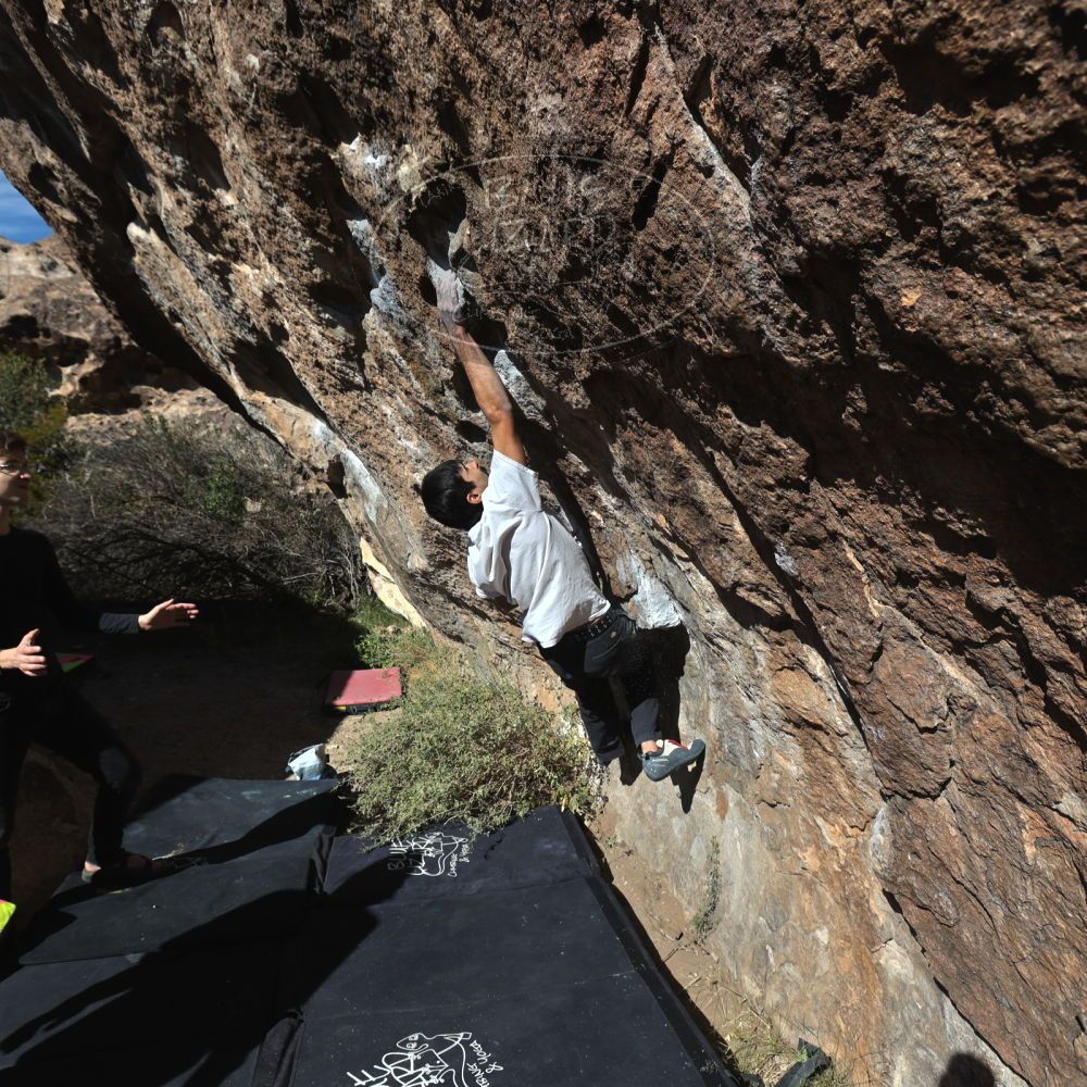 

Filename: SRM_20221112_1347060.jpg
Aperture: f/5.6
Shutter Speed: 1/1600
Body: Canon EOS R6
Lens: Canon EF 16-35mm f/2.8 L