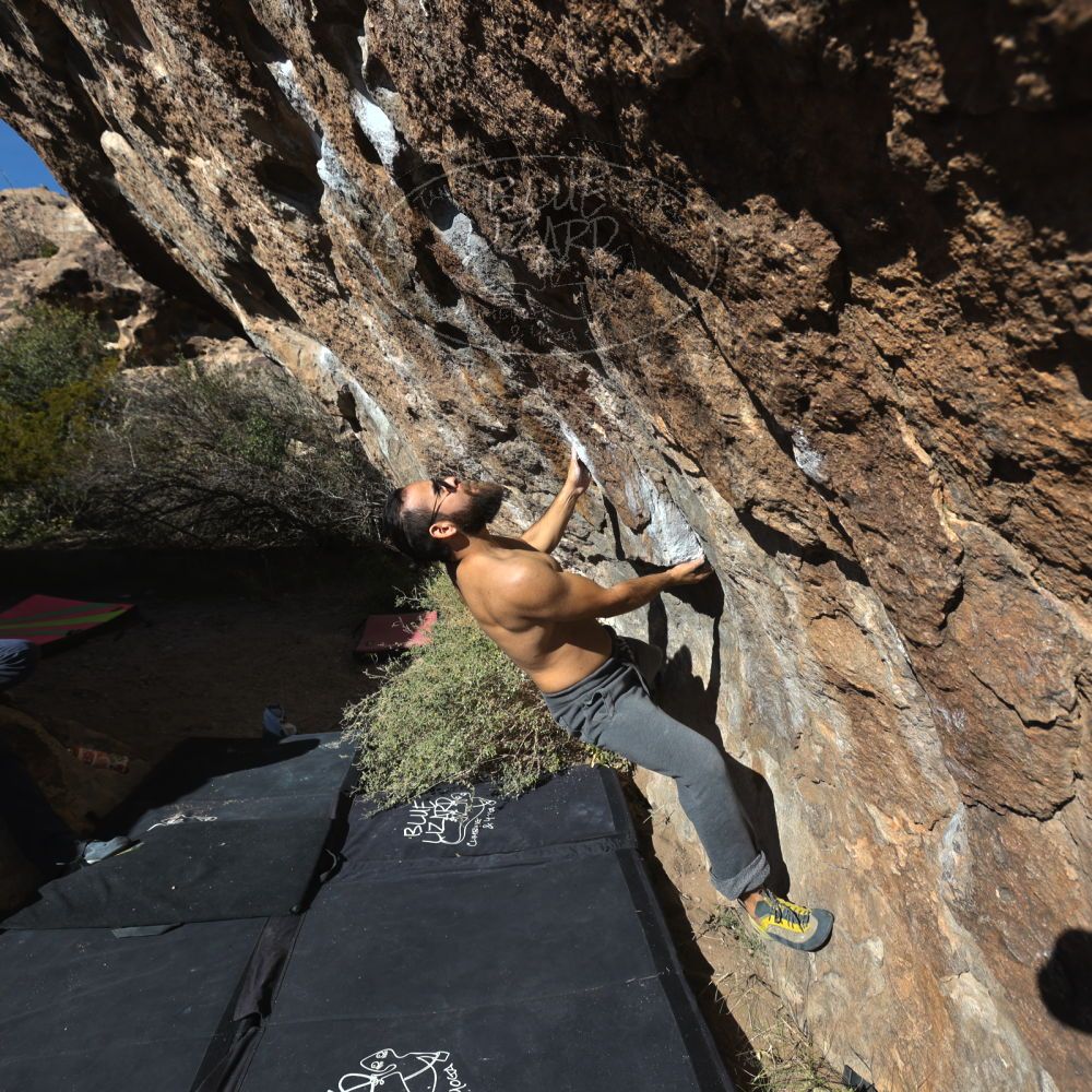 

Filename: SRM_20221112_1359270.jpg
Aperture: f/5.6
Shutter Speed: 1/1600
Body: Canon EOS R6
Lens: Canon EF 16-35mm f/2.8 L