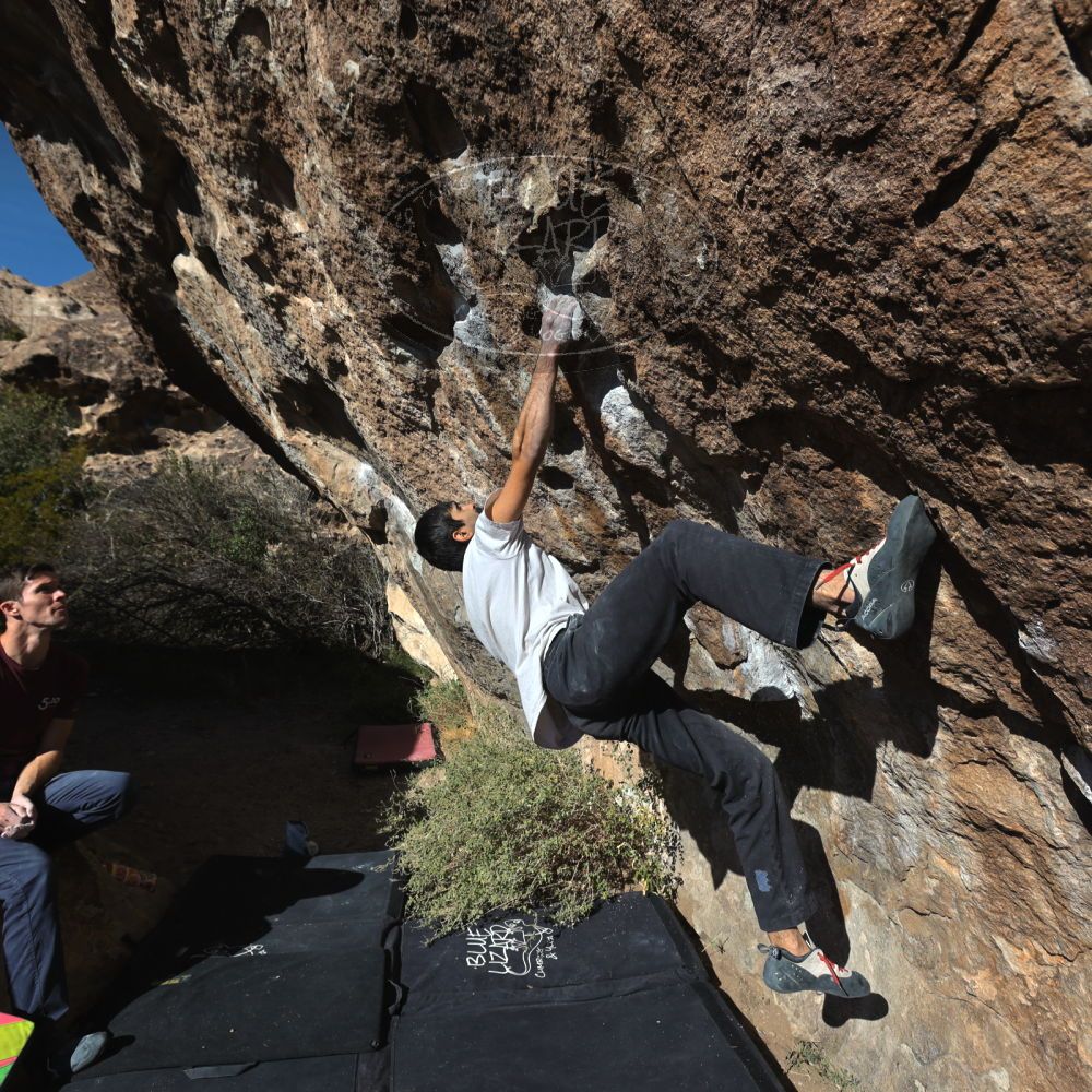 

Filename: SRM_20221112_1400210.jpg
Aperture: f/5.6
Shutter Speed: 1/1600
Body: Canon EOS R6
Lens: Canon EF 16-35mm f/2.8 L