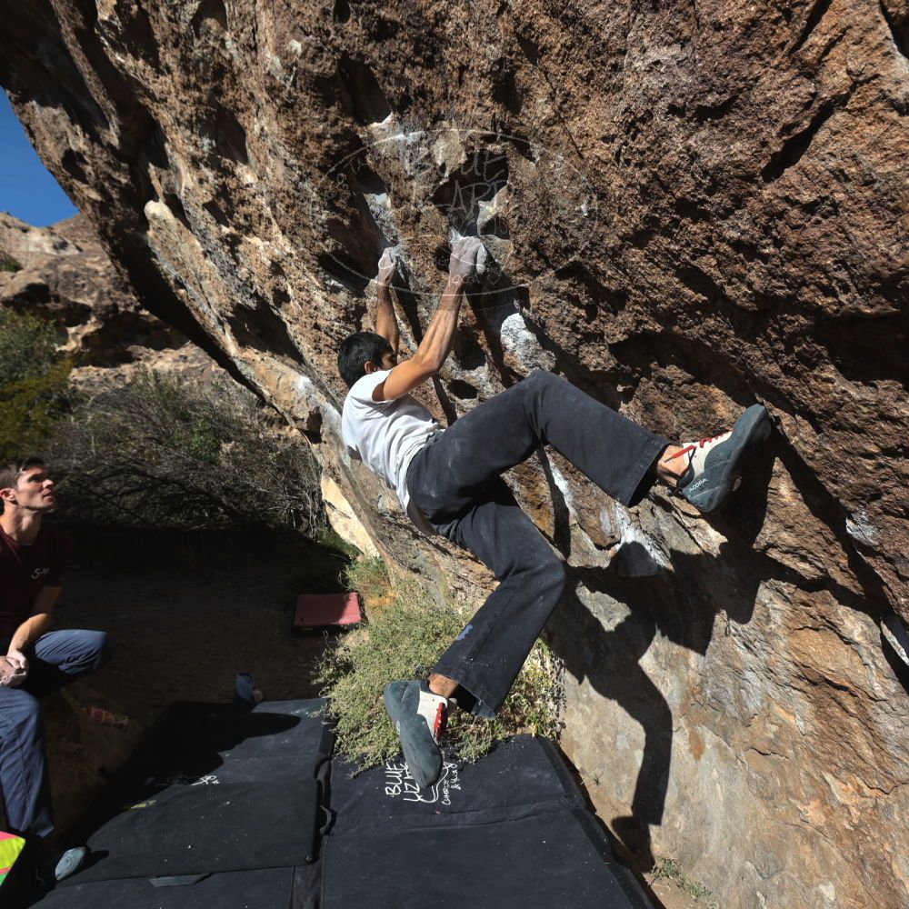 

Filename: SRM_20221112_1400220.jpg
Aperture: f/5.6
Shutter Speed: 1/1600
Body: Canon EOS R6
Lens: Canon EF 16-35mm f/2.8 L