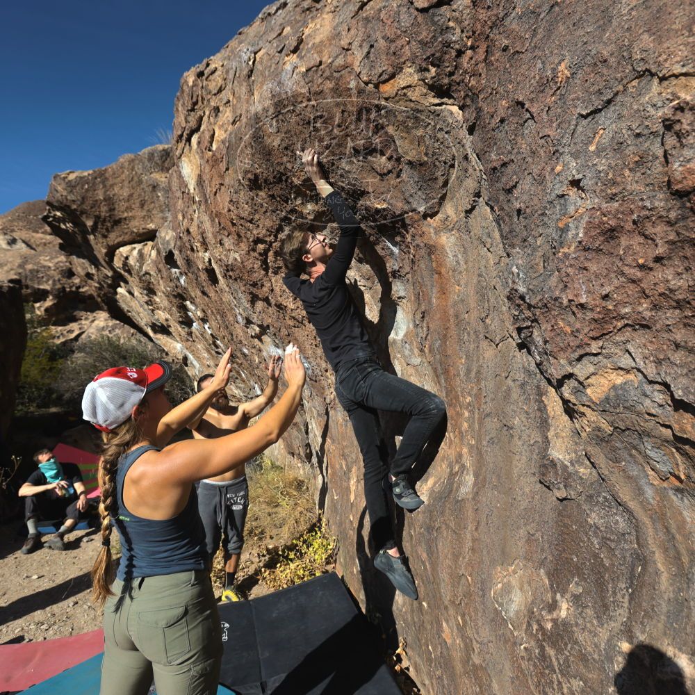 Filename: SRM_20221112_1406130.jpg
Aperture: f/5.6
Shutter Speed: 1/1600
Body: Canon EOS R6
Lens: Canon EF 16-35mm f/2.8 L