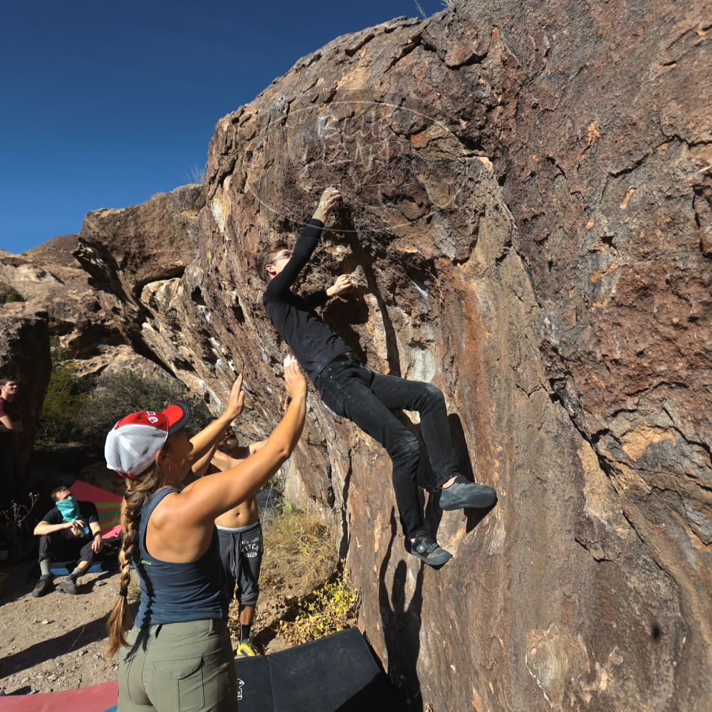 Filename: SRM_20221112_1406150.jpg
Aperture: f/5.6
Shutter Speed: 1/1600
Body: Canon EOS R6
Lens: Canon EF 16-35mm f/2.8 L