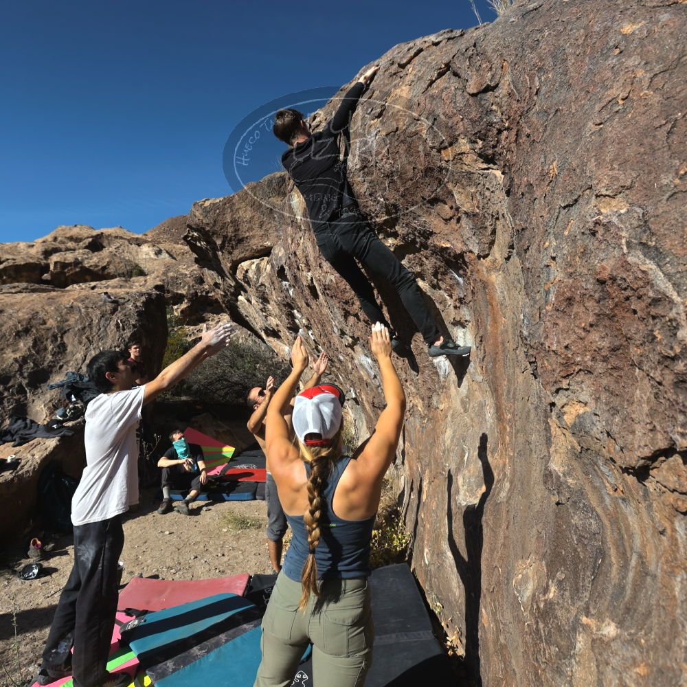 Filename: SRM_20221112_1406330.jpg
Aperture: f/5.6
Shutter Speed: 1/1600
Body: Canon EOS R6
Lens: Canon EF 16-35mm f/2.8 L