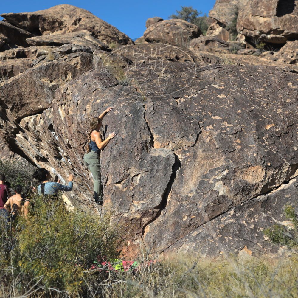 Filename: SRM_20221112_1411180.jpg
Aperture: f/4.0
Shutter Speed: 1/2500
Body: Canon EOS R6
Lens: Canon EF 50mm f/1.8 II