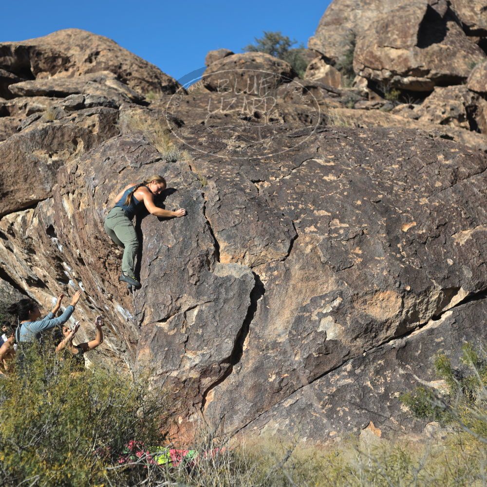 

Filename: SRM_20221112_1411330.jpg
Aperture: f/4.0
Shutter Speed: 1/2500
Body: Canon EOS R6
Lens: Canon EF 50mm f/1.8 II